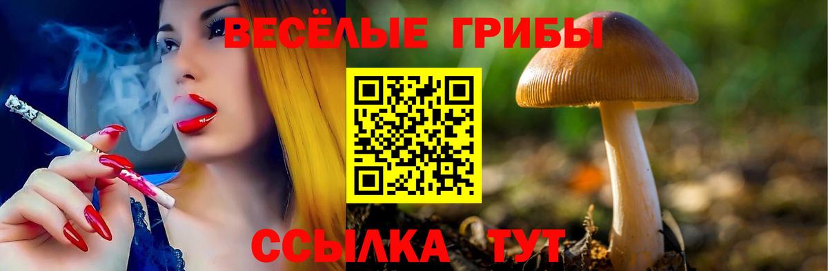 Псилоцибиновые грибы прущие грибы  Псилоцибиновые грибы GOLDEN TEACHER  Евпатория  Вход с VPN 